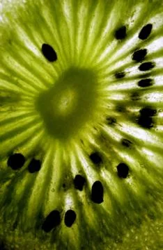 Kiwi fruit Stock Photos