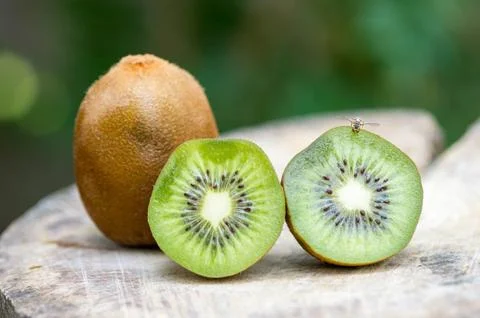 Kiwi fruit Stock Photos