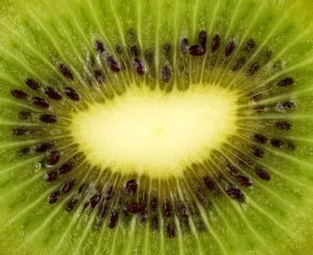 Kiwi fruit Stock Photos