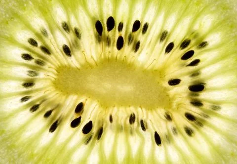Kiwi fruit Stock Photos