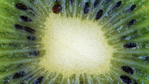 Kiwi fruit rotates clockwise. Close-up Stock Footage 120835191