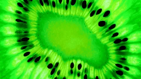 Kiwi fruit  slice back lit tracking shot Stockbeeldmateriaal 8912261