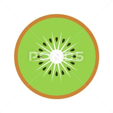 Fruit slices round Royalty Free Vector Image - VectorStock