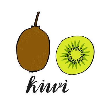 Kiwi fruit slice closeup icon isolated on white background, art logo design Stock Illustration