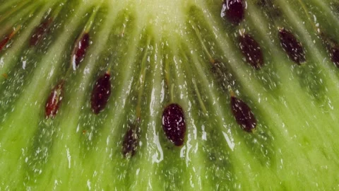 Kiwi fruit slice macro, dolly shot Stock Footage 168767112
