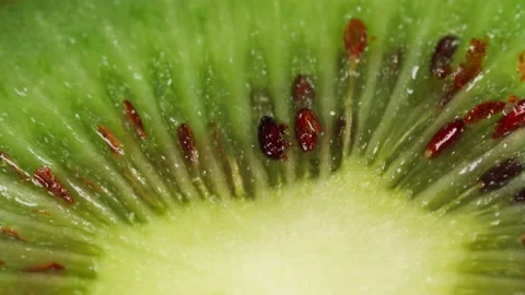 Kiwi fruit slice macro, dolly shot. Low angle Video stock 168823576