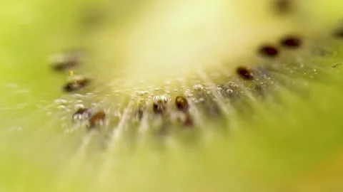 Kiwi Fruit Slice. Macro seeds. Fresh Green Kiwi in  sparkling water bubbles. Stock Footage 150567217