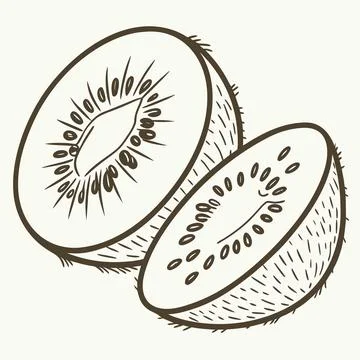 Kiwi Fruit Slice Minimal Vector Icon Stock Illustration