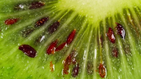 Kiwi fruit slice rotating, macro Video stock 168685834