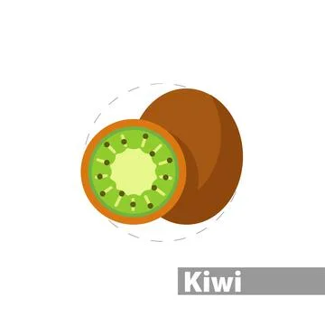 Kiwi fruit slice vector flat illustration icon Stock Illustration