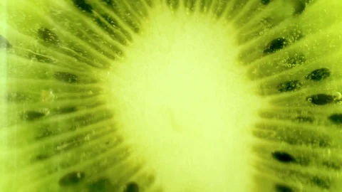 Kiwi Fruit Slices Rotating. Video stock 106392922
