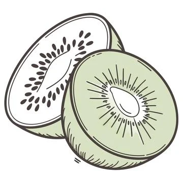 Kiwi Fruit Vector Illustration Minimal Flat Fruit (1) vector illustration d.. Stock Illustration