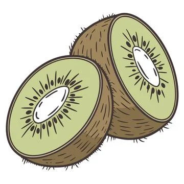Kiwi Fruit Vector Illustration Minimal Flat Fruit vector illustration desig.. Stock Illustration