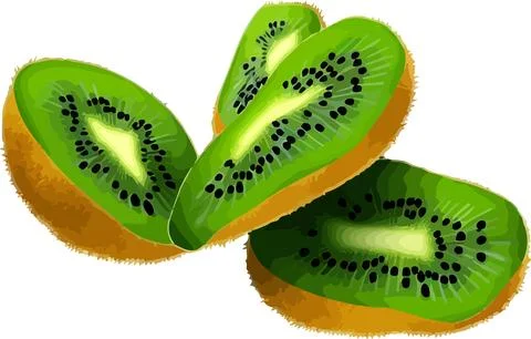 Kiwi fruit on a white background Stock Illustration
