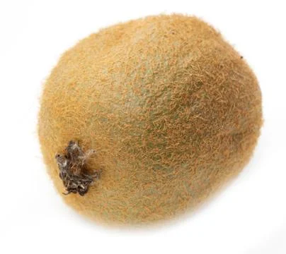 Kiwi fruit on a white background Stock Photos
