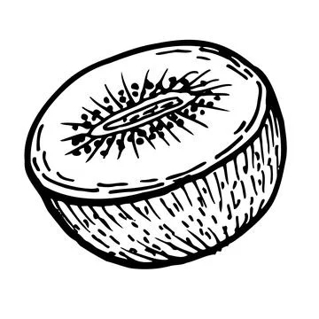 Kiwi half fruit isolated on transparent background Stock Illustration