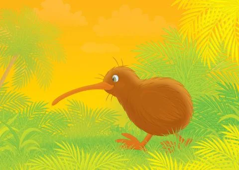 Kiwi Stock Illustration