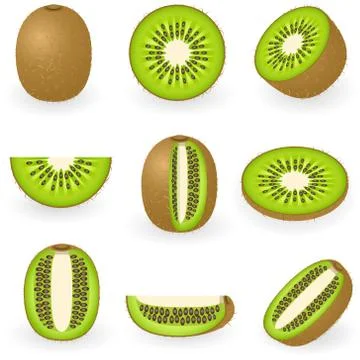 Kiwi Stock Illustration