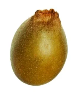 Kiwi isolated Stock-Fotos