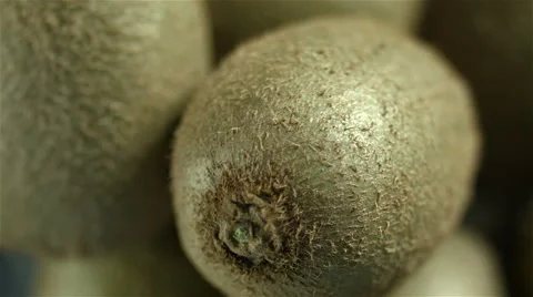 Kiwi isolated, top of view rotating. Video stock 63347984