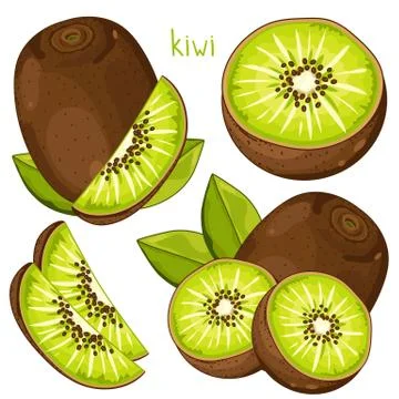 Kiwi Isolated, Vector. Stock Illustration