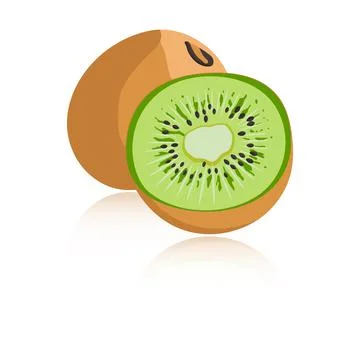 Kiwi isolated on white background. Stock Illustration
