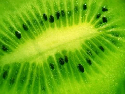 Kiwi macro Stock Photos