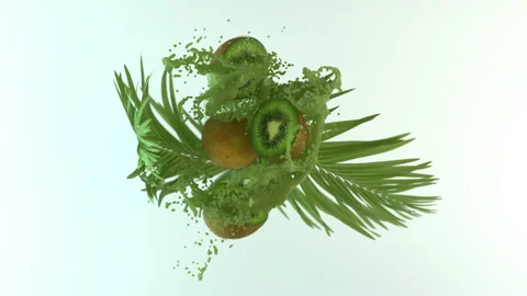 Kiwi palm branch 動画素材 132453478