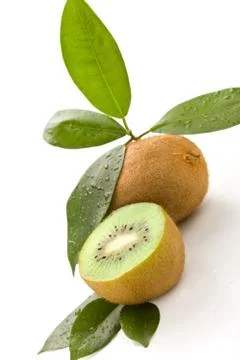 Kiwi Stock Photos