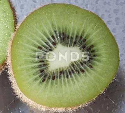 Kiwi Stock Photos