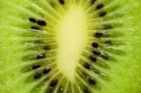 Kiwi 库存照片
