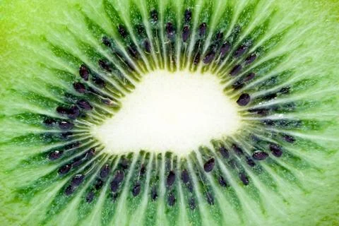 Kiwi Stock Photos