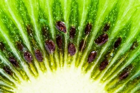 Kiwi Stock Photos