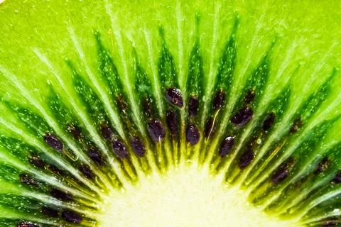 Kiwi Stock Photos
