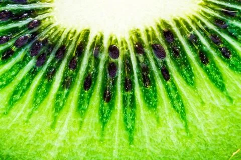 Kiwi Stock Photos