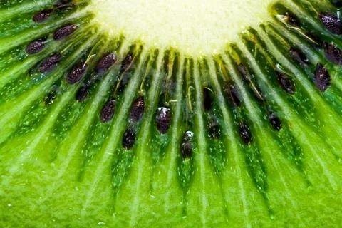 Kiwi Stock Photos