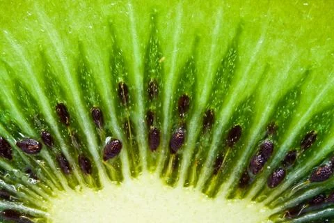 Kiwi Stock Photos