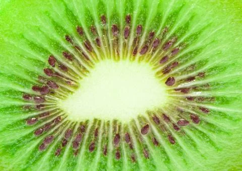 Kiwi Stock Photos