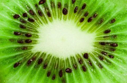 Kiwi Stock Photos