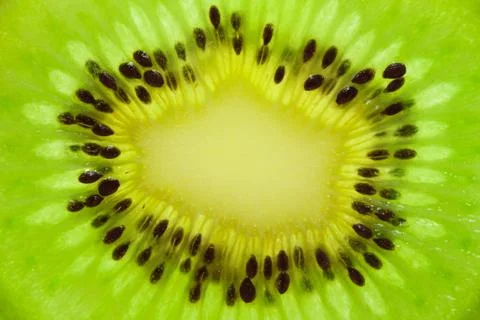 Kiwi Stock Photos