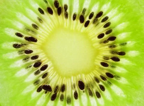 Kiwi Stock Photos