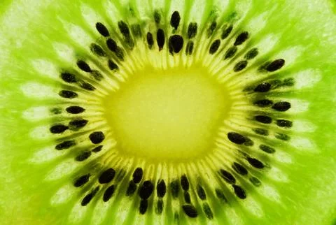 Kiwi Stock Photos