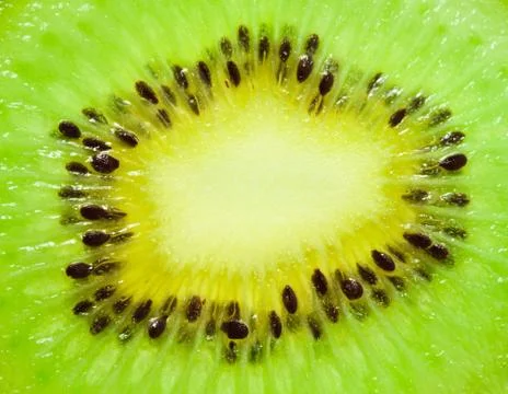 Kiwi Stock Photos