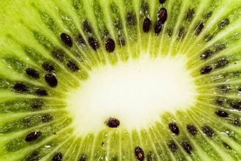 Kiwi Stock Photos