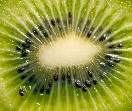 Kiwi Stock Photos