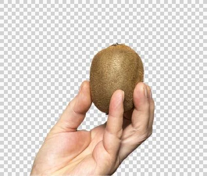 A kiwi Stock Photos