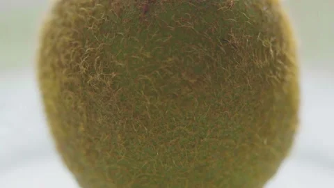 Kiwi on a plate close-up Stock Footage 164590063