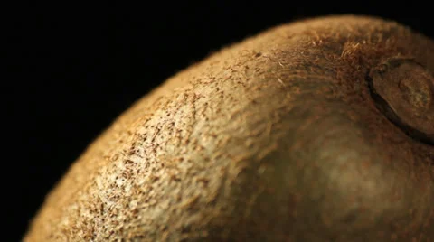 Kiwi rotating close up studio Stock-Footage 35773837
