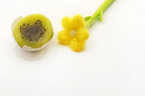 Kiwi in the shape of an Easter egg cut in half, artificial flower Stock Photos