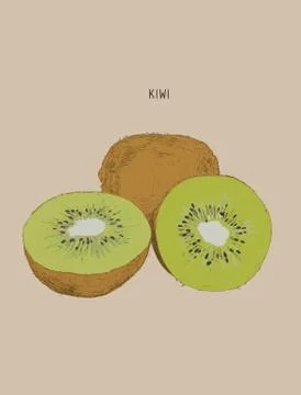 Kiwi , sketch vector. Stock Illustration